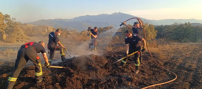 Apel urgent către clujeni: Nu dați foc vegetației uscate! Risc major de incendii și sancțiuni dure